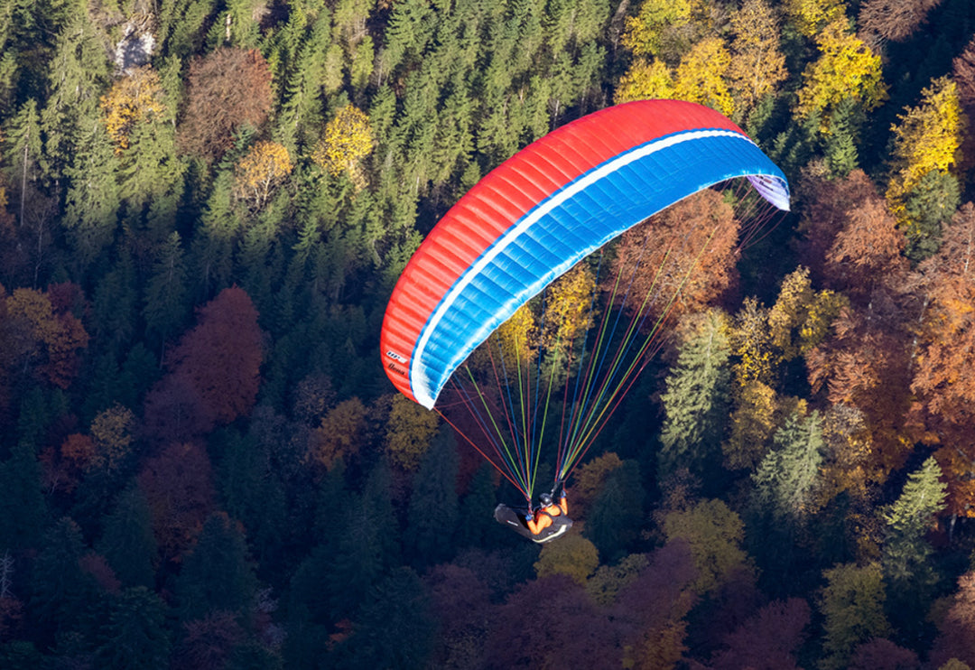 UP Dena paragliding wing