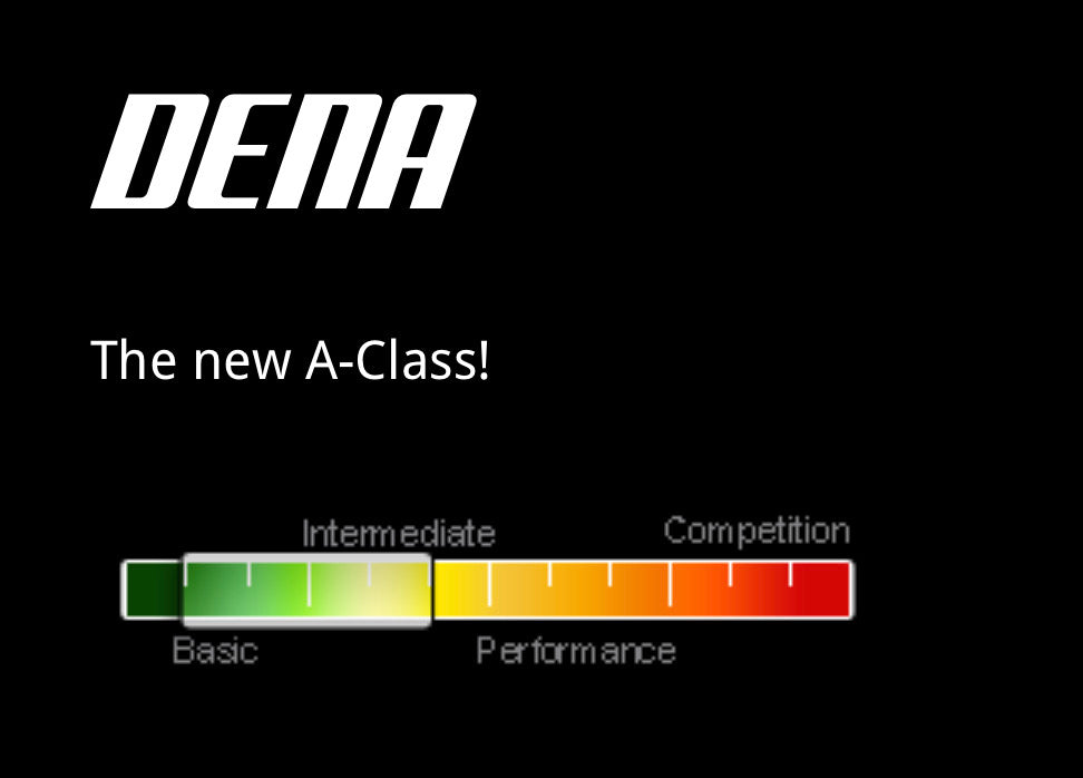 UP Dena paragliding wing rating