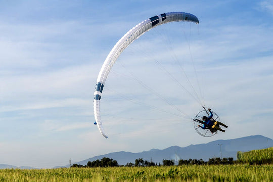Ozone Viper 6
