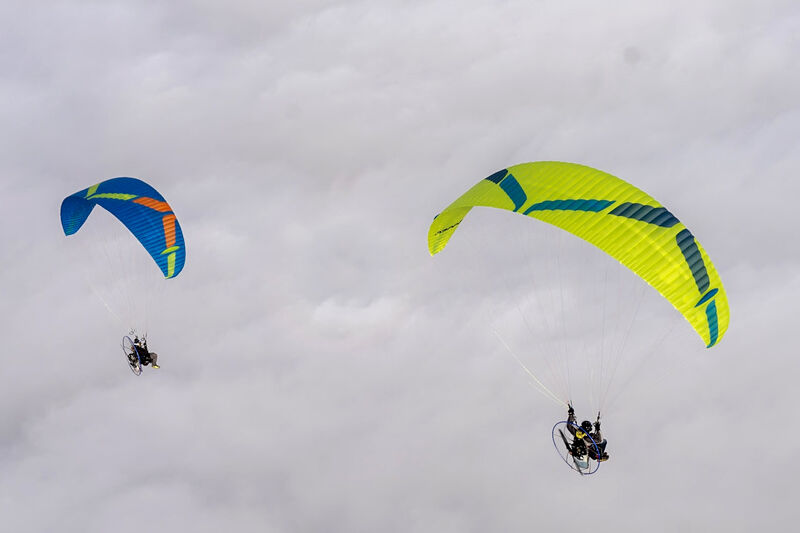 Ozone Viper 6