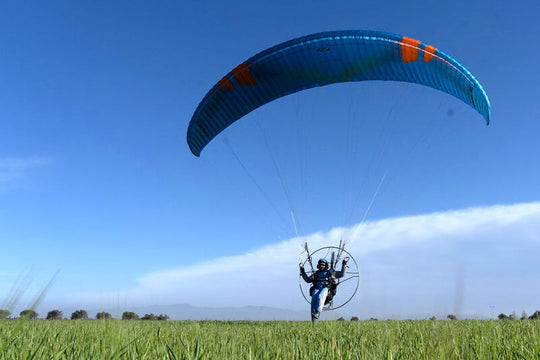 Ozone Viper 6