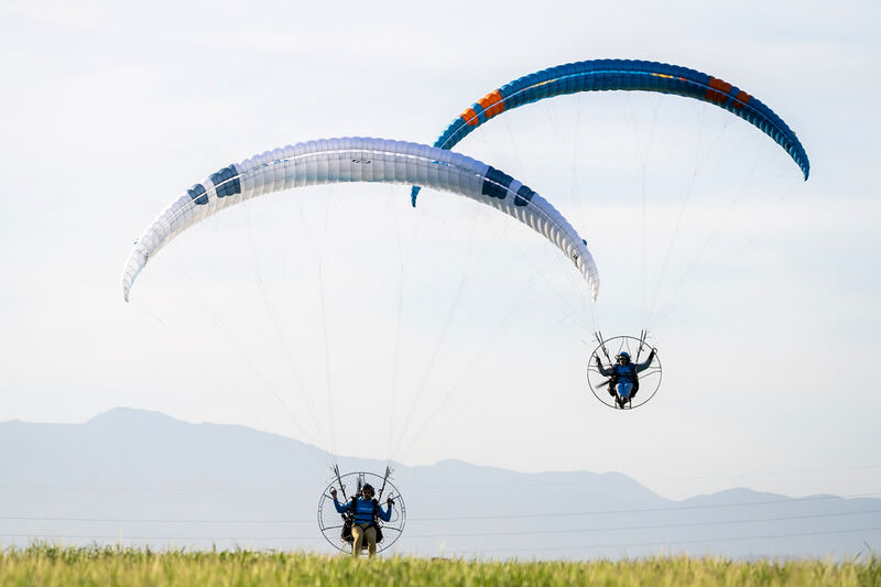 Ozone Viper 6