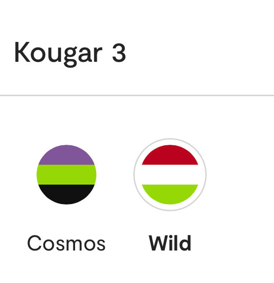 Niviuk Kougar 3 paramotor wing colours