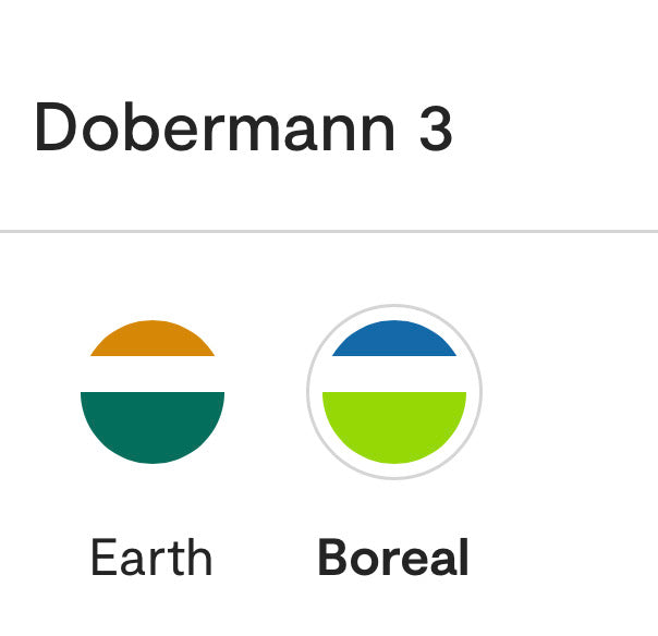 Niviuk Dobermann 3 paramotor wing colours